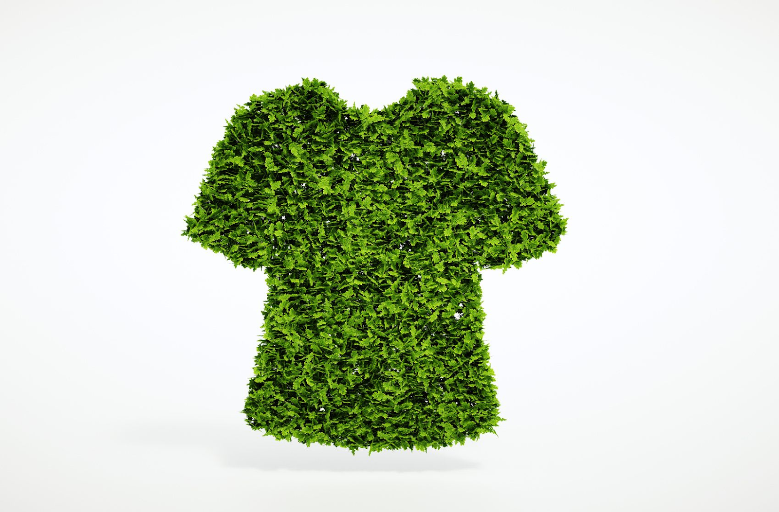 Key Materials in Sustainable Fashion